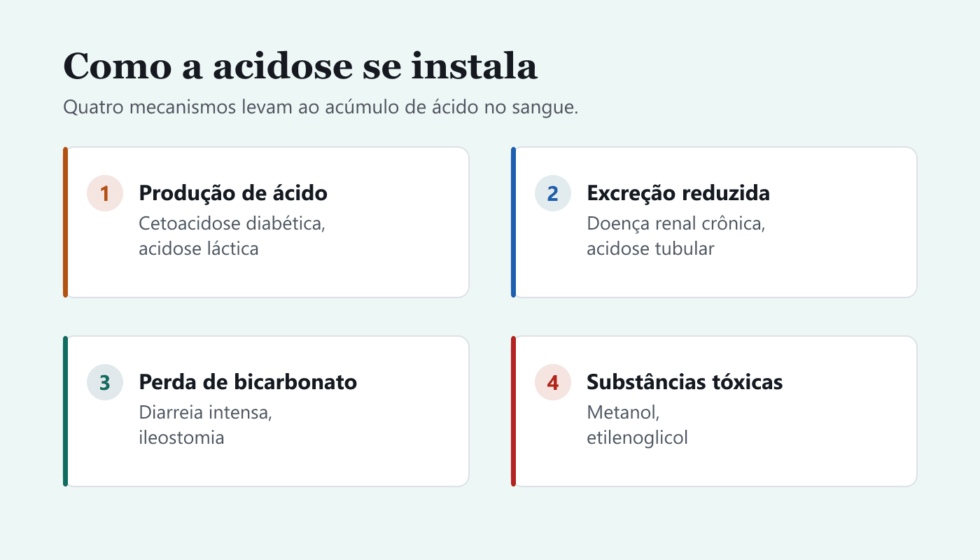 Quatro mecanismos que causam acidose metabólica